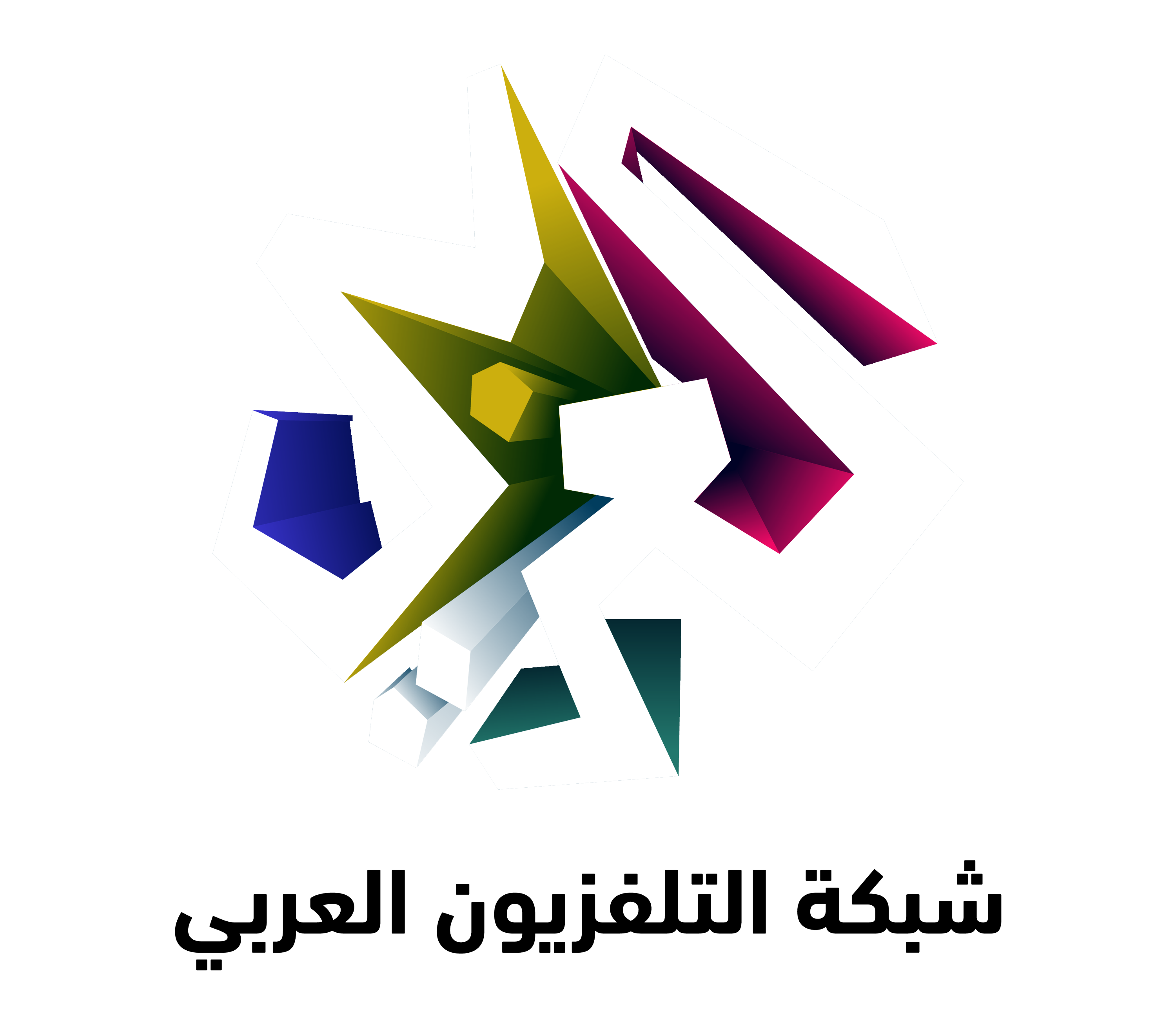 شبكة التلفيزيون العربي